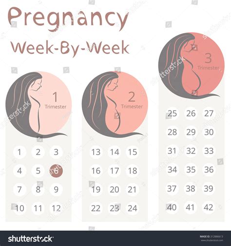 Printable Pregnancy Calendar