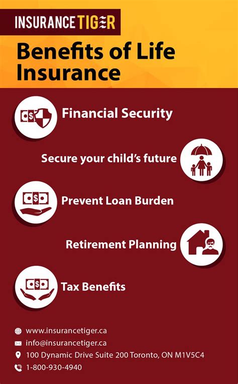 Infographic: Benefits Of Life Insurance in 2021 | Benefits of life ...