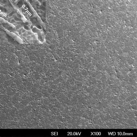 SEM micrographs showing the microstructure of (a) Al-10.5%Si-1%Ba ...