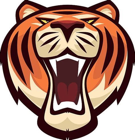 2,500+ Roaring Tigers Cartoon Stock Photos, Pictures & Royalty-Free ...