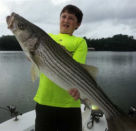 Striper Fishing Charters on Smith Mountain Lake