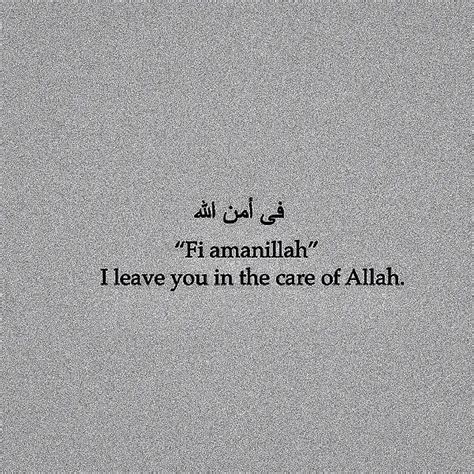 Fi amanillah in 2023 | Quran quotes, Quran quotes inspirational ...