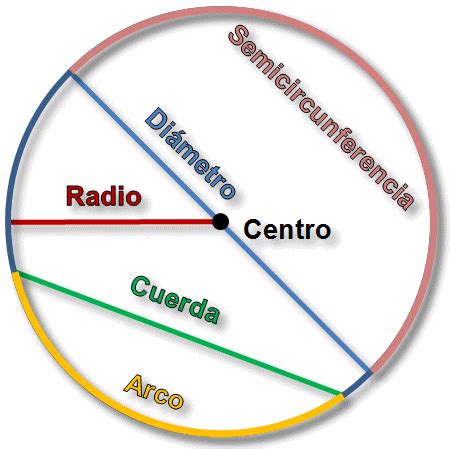 La circunferencia – Plasticavite