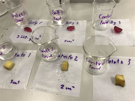 Osmosis experiment - PATCHARANANT SUTHIJINTATIP