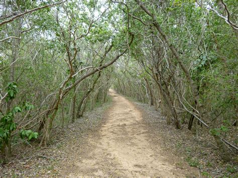 Guanica Dry Forest - Puerto Rico 1streetover travel