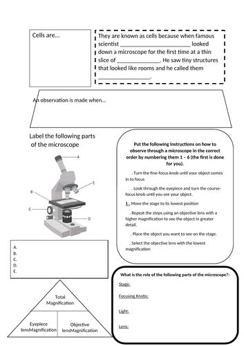 Magnification Worksheet KS3 introduction to Magnification | Teaching ...