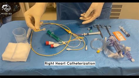 Heart Catheterization Overview at Susan Wells blog