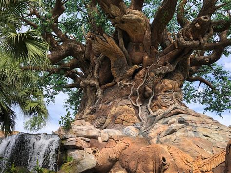 PHOTOS: Tree of Life Garden Trail Reopens After Refurbishment at Disney ...