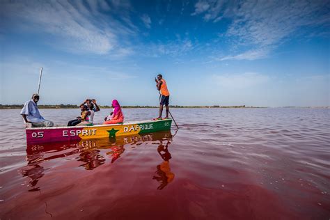 Salt harvesting in Senegal's pink lake - CGTN