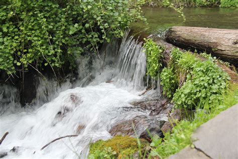 Sacred waters of Mt. Shasta... We go there with jugs and catch water ...