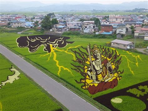 The Rice Paddy Art of Japan | Amusing Planet