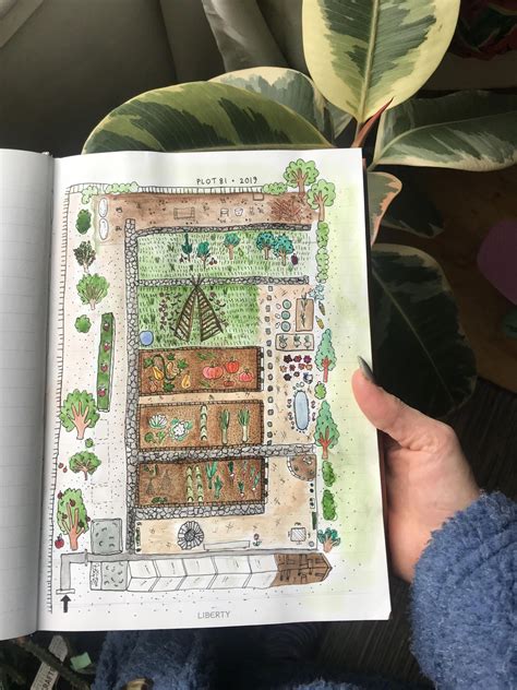 Allotment plot layout plan for 2019 Watercolour illustration # ...