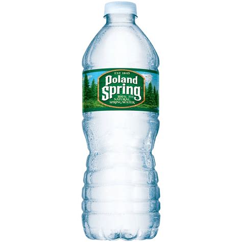 POLAND WATER 24/16.9 OZ