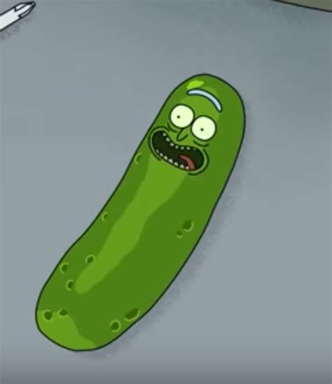 Pickle Rick Reveals Himself in New ‘Rick and Morty’ Season 3 Clip