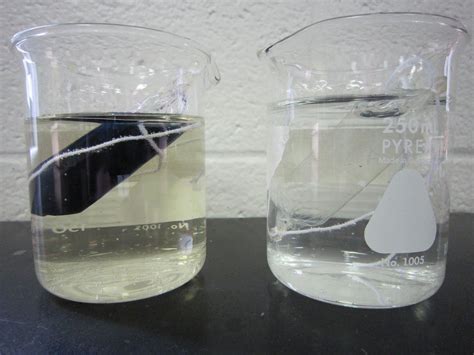 Transport Across Membrane Experiment