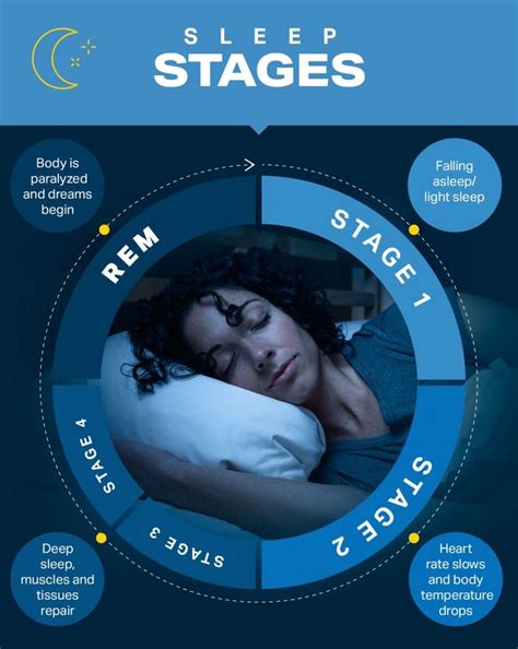 Understanding Sleep Cycles and How to Improve Sleep | Wellness ...