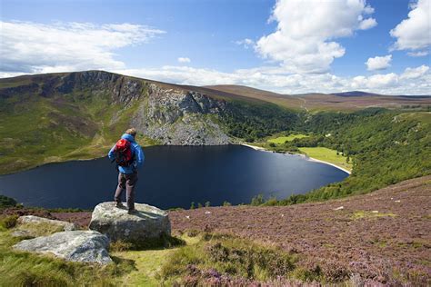 Wicklow Mountains travel - Lonely Planet