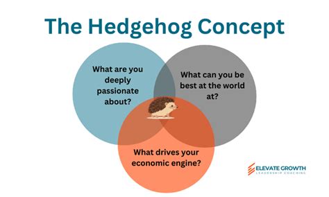 What is the Hedgehog Concept? And Why Your Business Strategy Needs One