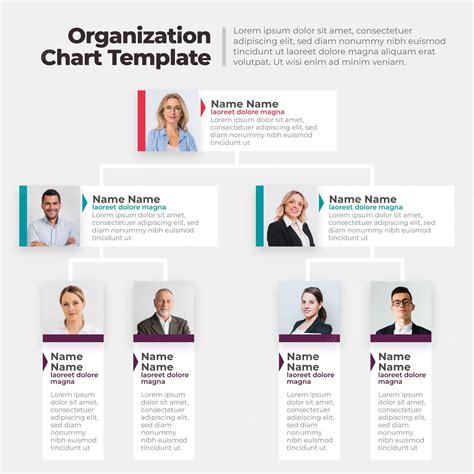 Organizational Chart Free Template