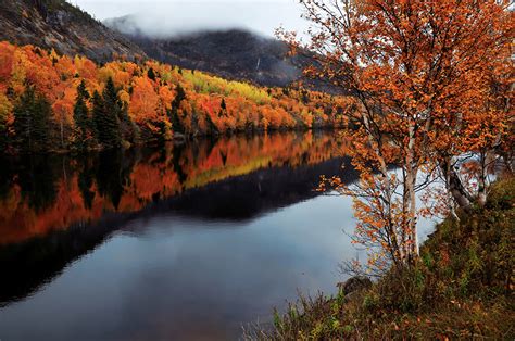 壁紙，河流，秋季，加拿大，水，Humber Newfoundland and Labrador，大自然，下载，照片