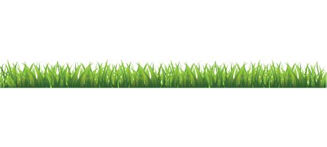 Grass PNG transparent image download, size: 7327x3295px