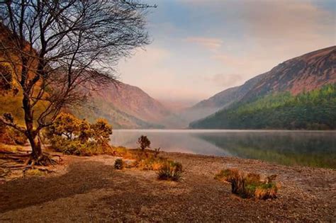 Home | Wicklow Mountains Guide