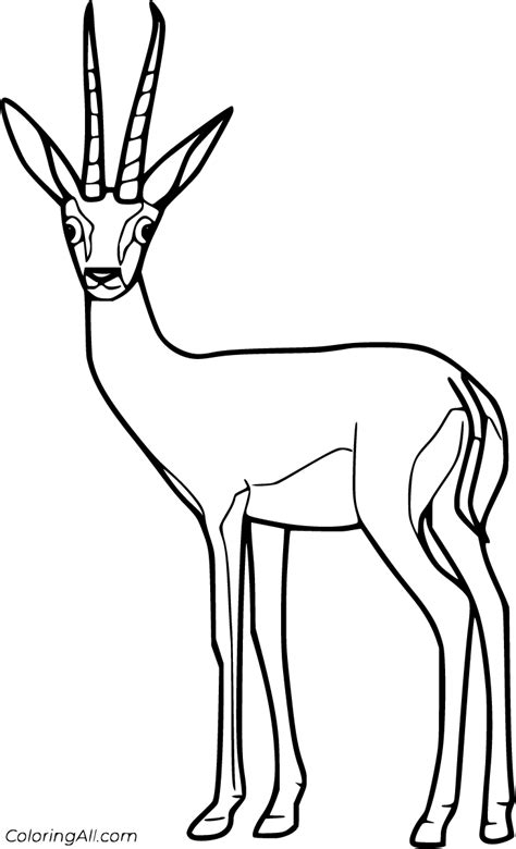 Gazelle Coloring Pages (20 Free Printables) - ColoringAll