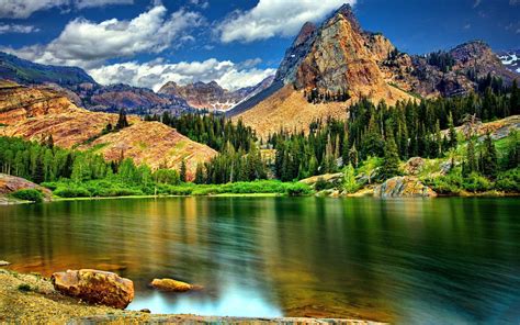 4K Nature Wallpaper Collection APK for Android Download