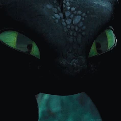 Popular Toothless Howtotrainyourdragon GIF - Toothless ...