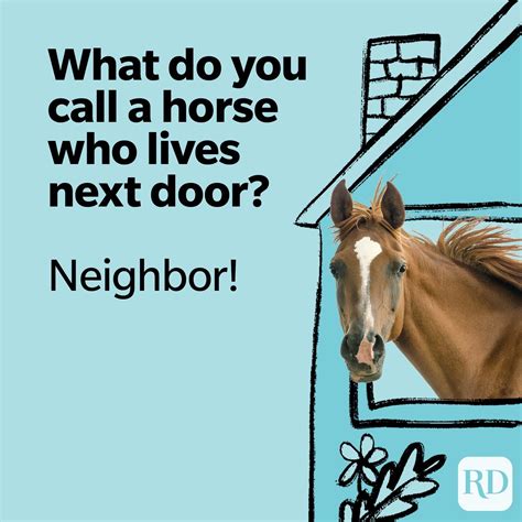 30 Horse Puns | Reader's Digest