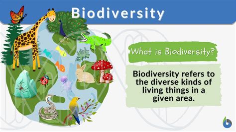 Biodiversity - Definition and Examples - Biology Online Dictionary