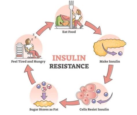 Side Effects of Insulin Therapy