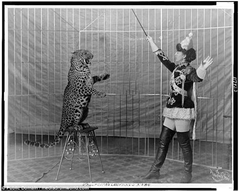 Video shows 19th century circus animals performing | Daily Mail Online