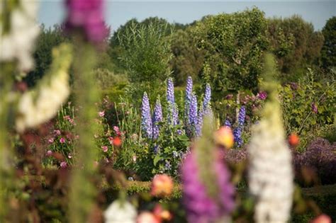 Leeds Castle & Gardens - Maidstone | Gardens | Britain's Finest