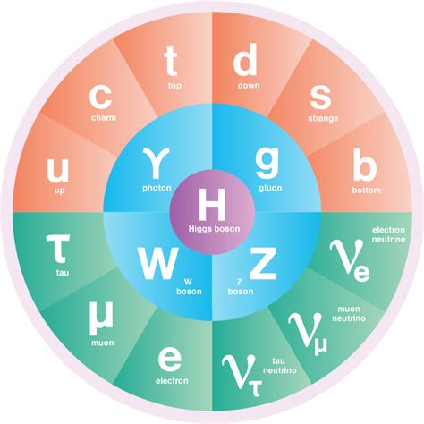 The Standard Model of Particle Physics | symmetry magazine