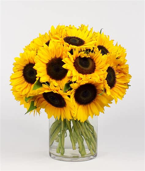 SIZZLING SUNFLOWER BOUQUET in Saint Paul, MN | Iron Violets Design Studio