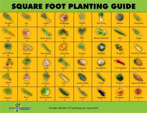 Square Foot Gardening: How Many Vegetables to Plant per square | garden ...