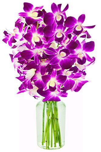 Ultimate Purple Dendrobium Orchid Bouquet (10 stems) - With Vase ...