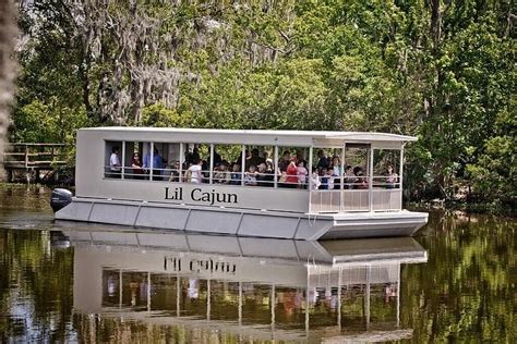 2023 Swamp and Bayou Sightseeing Boat Tour with Transportation from New ...