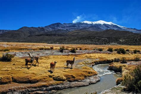 National Parks of Bolivia Have To Be Seen To Be Believed - Traveler Master