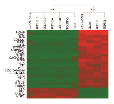 Translational” analysis of entrectinib sensitivity in lymphoma cell ...