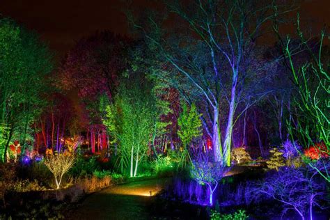 RHS Bridgewater Glow | Winter Garden Illuminations in Greater ...