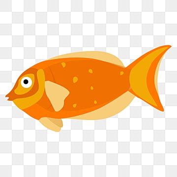 Orange Fish Clipart Transparent PNG Hd, Orange Gold Fish Transparent ...