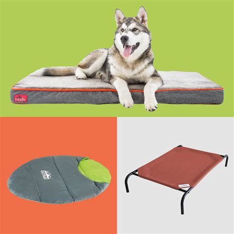 8 Best Waterproof Dog Beds | The Family Handyman