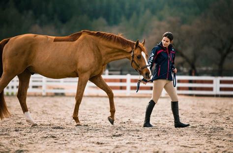 9 Best Horse Riding Boots | Farm House Tack