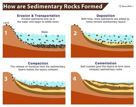 Sedimentary Rocks - Definition, Formation, Types, & Examples