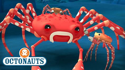 @Octonauts - The Giant Spider Crab | Full Episode 45 ...