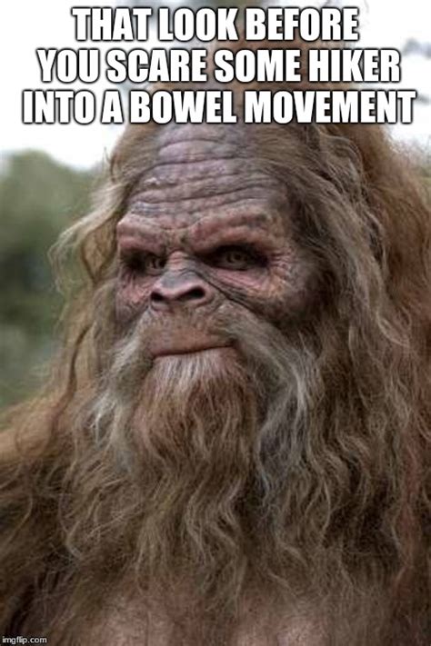 Sasquatch Memes - Imgflip