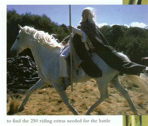 Gandalf and Shadowfax | Lord of the rings, Gandalf the white, Gandalf