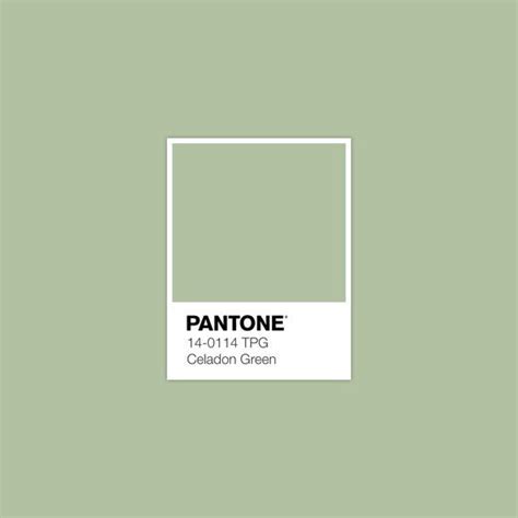 pantone sage green - Google Search | Pantone green, Pantone color, Pantone